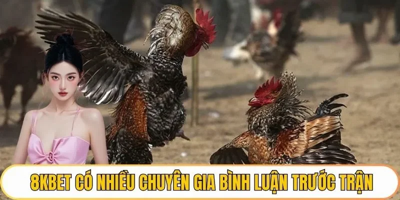 8KBET có khá nhiều chuyên gia bình luận trước trận